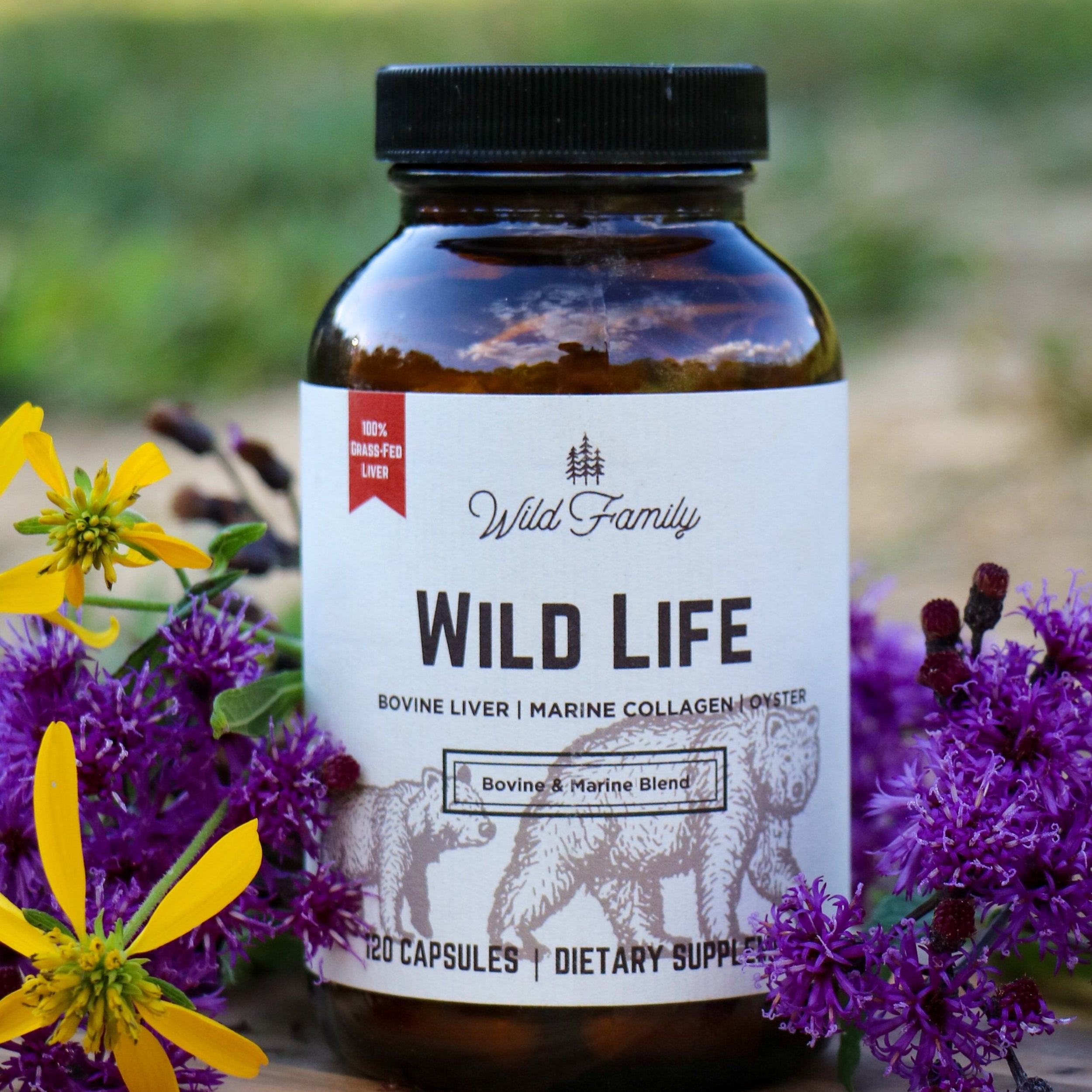 3 Month Supply- Wild Life