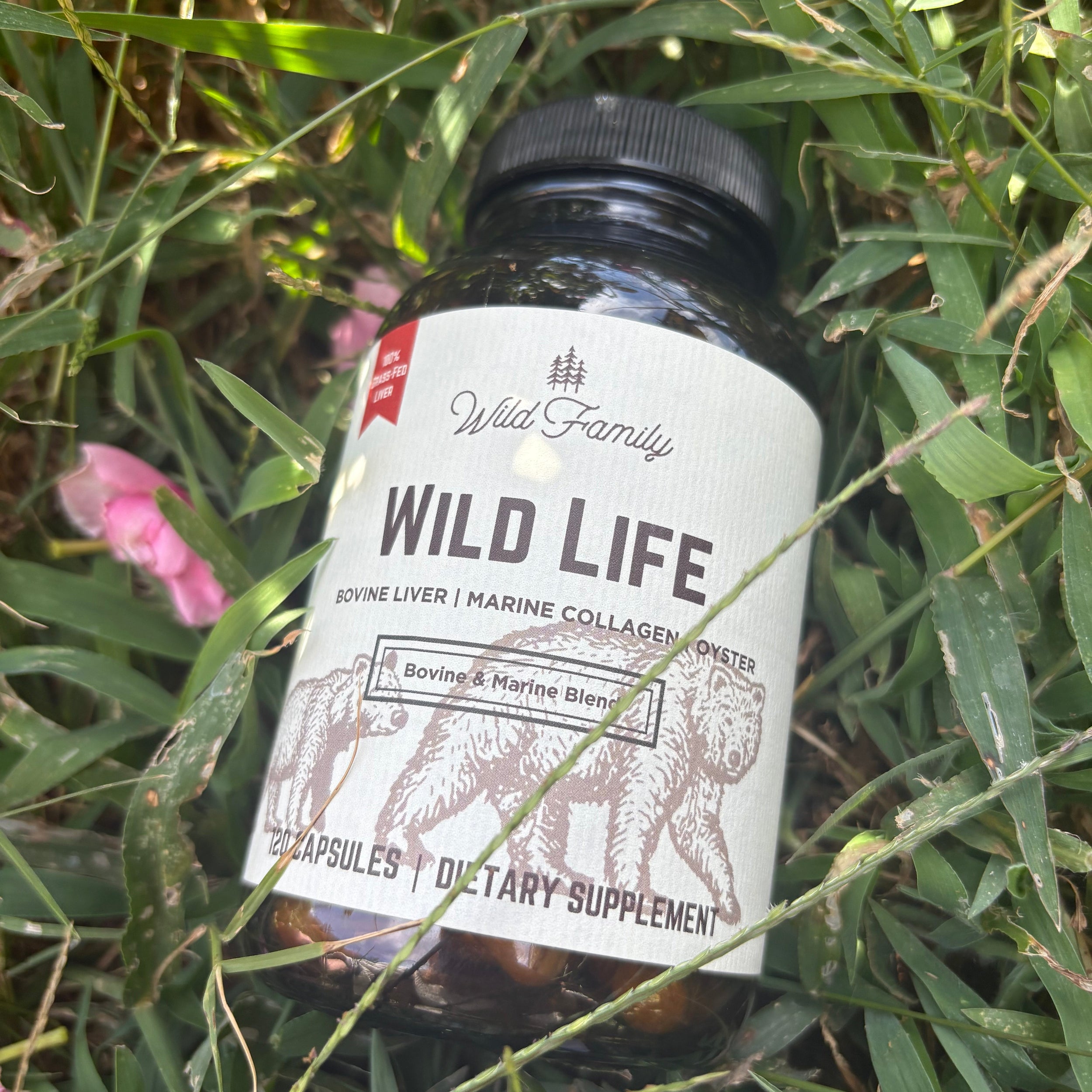 3 Month Supply- Wild Life